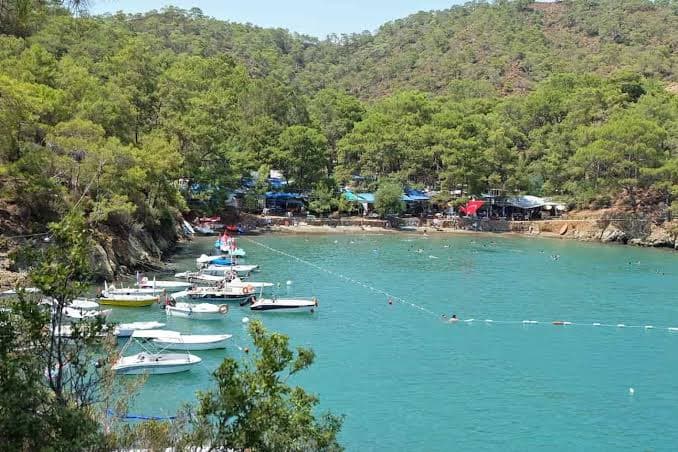 Katrancı Koyu Tabiat Parkı